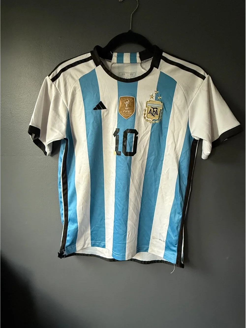 Argentina Messi #10 Soccer Jersey 2022 FIFA World Cup Edition